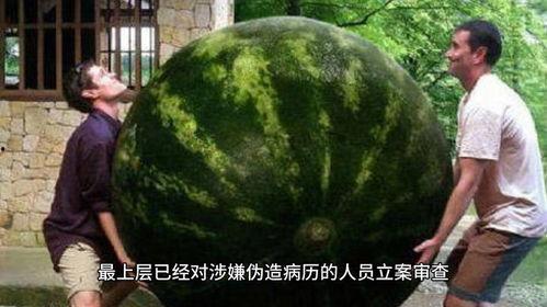 网络大瓜,揭秘娱乐圈幕后真相，带你走进明星隐私世界