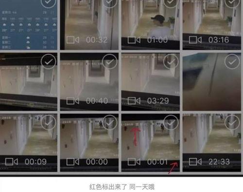 网曝黑料门 体育圈八卦 朝阳黑料,朝阳黑料引发八卦热潮