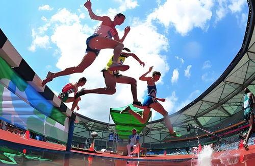 体育圈很乱天涯,乱象背后的真相与反思